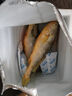 鴻順【冰鮮】黃花魚4條4斤 生鮮魚類 寧德大黃魚 地標(biāo)產(chǎn)品 源頭直發(fā) 曬單實(shí)拍圖