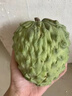 采緹（CAITI）現貨大目鳳梨釋迦果5斤 新鮮番荔枝佛頭果水果孕婦整箱 精選凈重一斤中果（2-3個(gè)） 曬單實(shí)拍圖