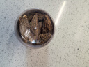 丙田 有機羊肚菌30克 頭茬新鮮干貨5-7cm大號 云南麗江自然林生無熏硫 曬單實拍圖