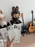Apple/蘋(píng)果 iPhone 17 Pro Max 支持移動(dòng)聯(lián)通電信 5G 雙卡雙待手機 銀色 512GB 12期免息套裝 曬單實(shí)拍圖