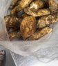 相遇紅顏香格里拉松茸菌未開傘新鮮松茸鮮菌菇空運快至24小時達團購送禮 出口級未開傘 12cm以上凈重1030g 曬單實拍圖