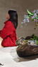 朵朵·可可結婚禮物  本命年新年紅品 羽絨服家居服套裝  暗紅 M (160) 曬單實(shí)拍圖
