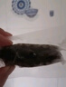 遼參大連有機(jī)冷凍海參3斤裝10-12只*3袋非即食京東自營獨(dú)立包源頭直發(fā) 曬單實(shí)拍圖