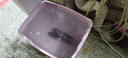 松寶（sobo）魚(yú)缸增氧泵家用養魚(yú)氧氣泵充氧機打氧泵魚(yú)缸制氧機增氧機10W四孔 曬單實(shí)拍圖