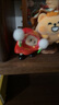 名創(chuàng)優(yōu)品（MINISO）右右醬youyou萌趣歪頭icon box手辦盲盒桌面擺件玩具周邊生日禮物 曬單實拍圖