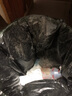 uwant友望小精靈除螨儀【性價比必入】65℃床上高溫殺菌吸塵器 吸塵除螨一體機紫外線殺菌除螨CM2407max 曬單實拍圖