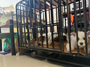 不二寶貝嬰幼兒枇杷秋梨膏210g沖泡水即食飲品老人小孩兒童養(yǎng)生無添加 曬單實拍圖