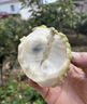 四叔公果蔬泰國牛奶釋迦果禮盒裝【順豐/JD-多地次日達】水果禮盒中秋節禮品 5斤裝【蕞蕞劃算-暢吃裝】家庭分享 【御貢金冠】特級老樹(shù)果王（單果350g+） 曬單實(shí)拍圖