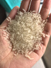 農(nóng)民樂(lè)當(dāng)季新米[有機(jī)食品 五常大米]稻花香2號(hào)東北正宗長(zhǎng)粒香家庭裝10斤 曬單實(shí)拍圖
