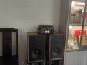 YTFY柏林之聲發(fā)燒級HIFI膽機組合音響套裝電子管功放機4分頻10寸音箱 10寸四分頻音箱+10膽膽機（黑色） 曬單實拍圖