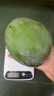 【新鮮上市】正宗攀枝花凱特芒果新鮮水果 帶箱2斤400g+（1-2個(gè)） 曬單實(shí)拍圖