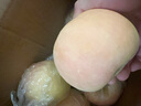 果陸園JD送貨上門(mén)紅富士蘋(píng)果新鮮水果當季整箱現摘早熟冰糖心富士小蘋(píng)果 整箱5斤精選70-90MM凈4.5斤 曬單實(shí)拍圖
