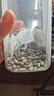 LIFELINE 命脈水龜糧巴西龜黃頭增色發(fā)色龜糧通用烏龜食物飼料草龜糧補鈣 900g 曬單實(shí)拍圖