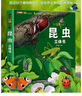 昆蟲(chóng)揭秘立體翻翻書(shū) 昆蟲(chóng)界全景科普大揭秘 53個(gè)知識點(diǎn)3大立體效果展示神秘昆蟲(chóng)王國 培養兒童孩子科學(xué)探索自然探索興趣開(kāi)闊眼界 曬單實(shí)拍圖