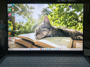 ThinkPad聯(lián)想ThinkBook16+ 2025標(biāo)壓酷睿5筆記本電腦補(bǔ)貼20%超能本 高性能輕薄辦公設(shè)計(jì)大學(xué)生游戲手提本 25款酷睿5 32G內(nèi)存 1TB固態(tài) TB16 IPS全高清屏 精裝升級(jí) 曬單實(shí)拍圖