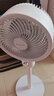 艾美特（AIRMATE）【小暴風(fēng)】空氣循環(huán)扇大風(fēng)量搖頭電風(fēng)扇家用臺式落地扇升級加高換氣輕音柔風(fēng)小風(fēng)扇 FA18-X115 曬單實(shí)拍圖