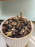 飛鶴星飛帆 嬰幼兒配方奶粉3段(1-3歲) 700g*6 專(zhuān)利OPO 育兒補貼 曬單實(shí)拍圖