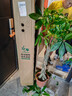 臨雅辮子發(fā)財樹(shù)客廳盆栽大型室內綠植招財樹(shù)辦公室喬遷開(kāi)業(yè)落地植物棵 辮子發(fā)財樹(shù)1.2-1.3m+樹(shù)脂福字盆 曬單實(shí)拍圖
