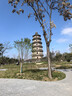 歐萊雅男士專(zhuān)用高倍防曬霜乳隔離SPF50+戶(hù)外軍訓抗曬黑紫外線(xiàn)護膚品學(xué)生 曬單實(shí)拍圖