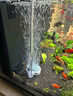 HIDOM希騰增氧泵當貝智能魚(yú)缸專(zhuān)用 小米魚(yú)缸適配氧氣泵家用 曬單實(shí)拍圖
