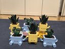 樂(lè )高（LEGO）積木拼裝10349 快樂(lè )盆栽男孩女孩兒童玩具教師節禮物 曬單實(shí)拍圖