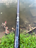 光威（GW） 光威魚竿龍云超硬臺釣竿 碳素魚竿超硬魚桿28調(diào)鯉魚黑坑 5.4m 龍云三代 曬單實拍圖