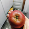 甜果源 大涼山丑蘋(píng)果 冰糖心蘋(píng)果四川應季水果食果禮品禮盒新鮮水果包郵 凈重5斤【80%人選擇】 小果【單果65-70mm】 曬單實(shí)拍圖