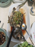 鮮活沖浪大鱸魚600-750g/條 曬單實(shí)拍圖