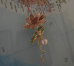 唐后（TH）新中式胸針高檔女淡水珍珠胸花荷花別針送媽媽長(cháng)輩生日節日禮物 【海漾婳蓮】+送官方鑒定證書(shū) 曬單實(shí)拍圖