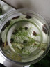 桌面魚(yú)缸家用透明耐摔客廳辦公室桌面金魚(yú)水培綠植小型生態(tài)造景缸 大號  桌面生態(tài)魚(yú)缸 曬單實(shí)拍圖