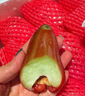 優(yōu)味集黑金剛蓮霧【JD順豐速發(fā)】新鮮海南霧蓮熱帶孕婦水果中秋節(jié)送禮品 2斤精選果（單果75-100g） 曬單實(shí)拍圖