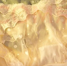 歐迪芬桑蠶絲襠女士?jī)?nèi)褲女10A抗菌蕾絲緞面性感純欲無痕重要三角短褲頭 曬單實(shí)拍圖