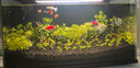 漢洋（ WATERWEEDS INDUSTRY）羊絨棉手撕過濾棉魚缸濾材培菌白棉精密棉水族養(yǎng)魚池過濾材料 曬單實(shí)拍圖