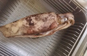 美加佳 鮮凍整只大魷魚(yú)（2-3只） 凈重550g 整條魷魚(yú) 深海捕撈 海鮮水產(chǎn) 曬單實(shí)拍圖