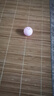【京東快遞】貓咪玩具球貓薄荷狗狗閃光發(fā)光球鈴鐺球玩具解悶神器 紅色球1個(gè)【鈴鐺款】 曬單實(shí)拍圖