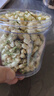 新鮮茉莉花 茉莉干花蕾 花草茶莉花苞茶葉濃郁爽 特級茉莉花【一罐110克】 曬單實(shí)拍圖