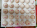 康咯咯康大可生食雞蛋無(wú)抗鮮雞蛋營(yíng)養雞蛋無(wú)沙門(mén)氏菌高品質(zhì)蛋單枚50g+ 【居家必備可生食】30枚  1.5kg+ 曬單實(shí)拍圖