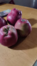 三萌果蔬花牛蘋果 甘肅當(dāng)季新鮮紅蛇粉面蘋果嬰兒輔食水果中秋禮盒送禮 5斤精品果【單果70-75mm】?jī)?.5斤 曬單實(shí)拍圖