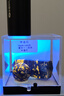 神魚（SHENYU）紫光燈鑒定紫外線手電筒365nm熒光劑檢測筆伍德氏燈專用驗鈔煙酒 曬單實拍圖