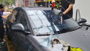 固特異（GOODYEAR）汽車貼膜 金剛系列汽車隔熱膜汽車膜玻璃膜車窗膜汽車膜全車膜防曬隔熱防爆太陽膜 曬單實(shí)拍圖