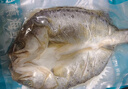 釣魚記開背海鱸魚1斤-1.3斤 三去凈重 冷凍 生鮮 魚類 海鮮水產(chǎn) 曬單實(shí)拍圖