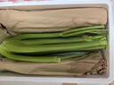 京鮮生山東新鮮大西芹凈重4.5斤榨汁現挖芹菜鮮嫩蔬菜 去半葉源頭直發(fā) 曬單實(shí)拍圖