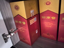 劍南春 水晶劍 52度 750ml 單瓶裝 濃香型白酒 曬單實(shí)拍圖