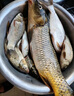 釣魚(yú)餌料野釣通殺老三樣藍鯽速攻918黑坑綜合餌四季通用全能魚(yú)餌 藍鯽+大野戰腥版+速攻腥味110克 曬單實(shí)拍圖