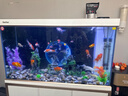 森森（SUNSUN）大型魚(yú)缸底過(guò)濾水族箱客廳家用落地玻璃生態(tài)金魚(yú)缸 【實(shí)時(shí)溫顯】1.2米長(cháng)42cm寬（黑白灰可選） 曬單實(shí)拍圖