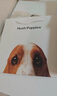 暇步士（Hush Puppies）自動(dòng)扣皮帶男百搭商務(wù)生日禮物男士腰帶禮盒裝送男朋友送爸爸 曬單實(shí)拍圖