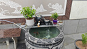 森森（SUNSUN）魚缸水泵小型潛水泵過濾泵抽水泵YQP-1500 23W 曬單實(shí)拍圖