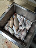 奧光 釣魚(yú)線(xiàn)主線(xiàn)進(jìn)口路亞線(xiàn)斑點(diǎn)魚(yú)線(xiàn)子線(xiàn)超強拉力尼龍線(xiàn)偽裝隱形漁線(xiàn) 變色斑點(diǎn)線(xiàn) 1.0號 曬單實(shí)拍圖