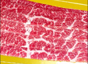 真牛館澳洲和牛原切涮烤牛肉片800g 火鍋烤肉食材 肥牛嫩肉片【真原切】 曬單實(shí)拍圖