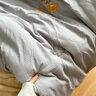 雅鹿大豆纖維被子被芯150x200cm被褥加厚學(xué)生宿舍家用春秋被空調被子 棉豆豆-星灰【親膚柔軟】 150*200cm春秋被【約重4斤】 曬單實(shí)拍圖